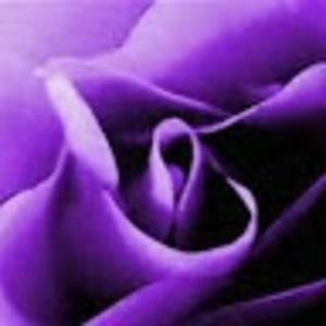 Meet your Posher, Violeta